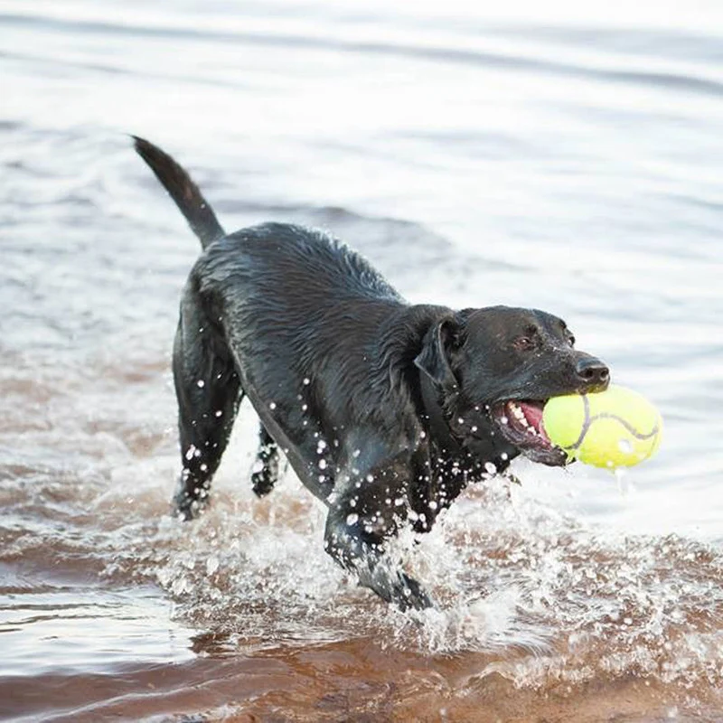 KONG Squeakair Airdog Football L