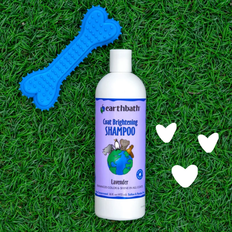 earthbath Coat Brightening Lavender Shampoo for Dogs & Cats 16OZ