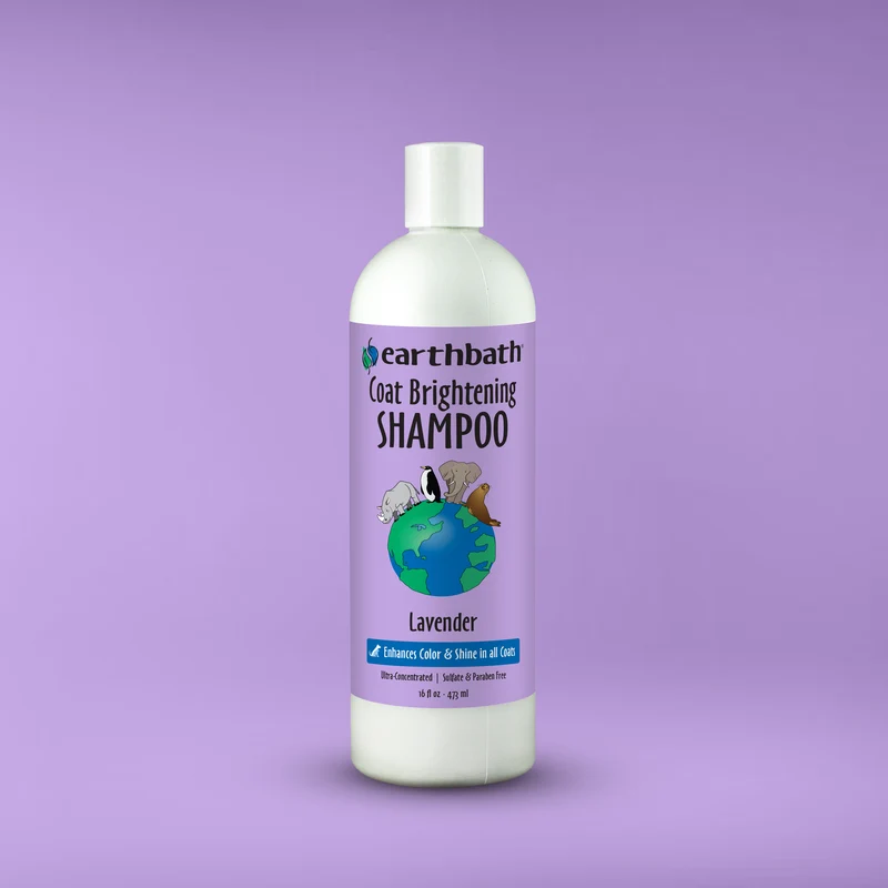 earthbath Coat Brightening Lavender Shampoo for Dogs & Cats 16OZ