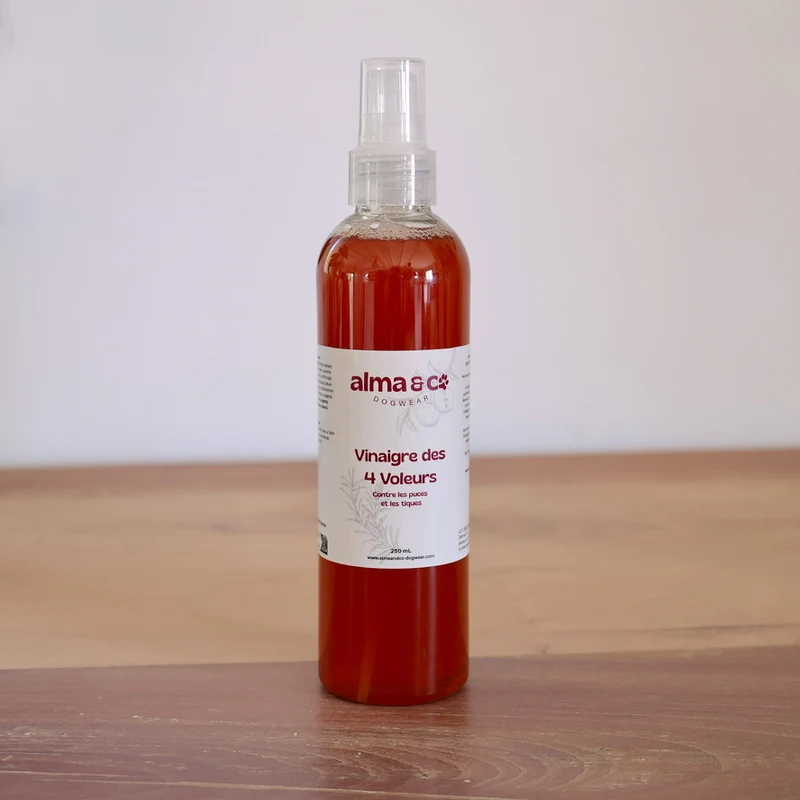 Vinaigre des 4 voleurs