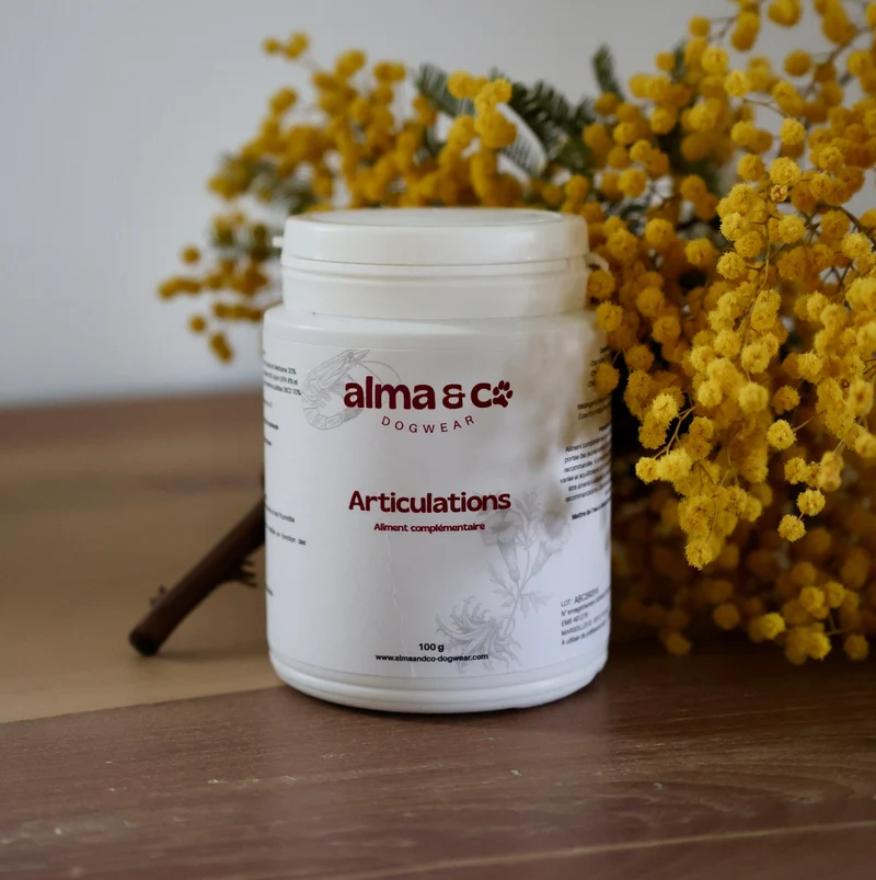 Aliment complémentaire articulations