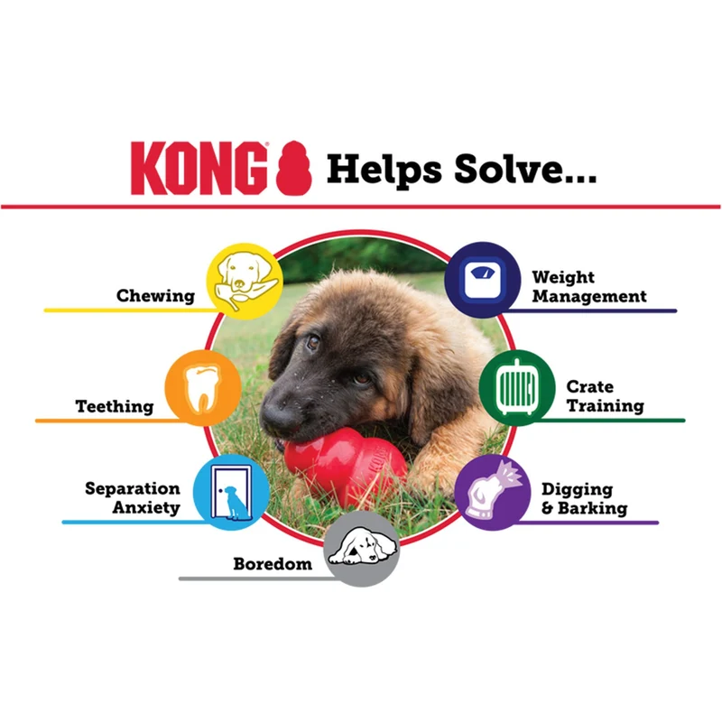Jouet KONG Puppy