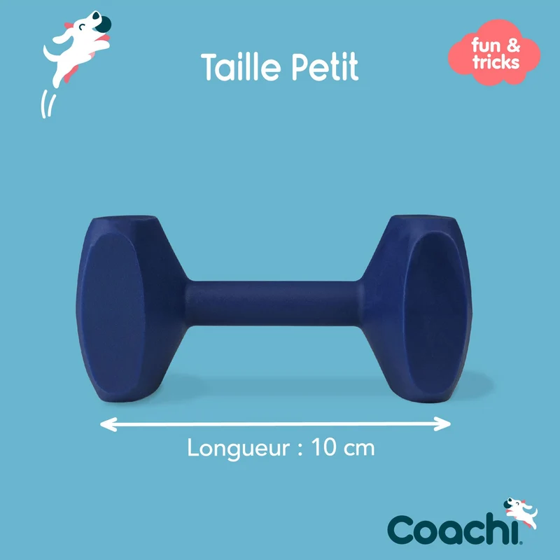 Haltère d'éducation Dumbbell Coachi 10cm