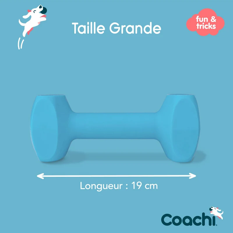 Haltère d'éducation Dumbbell Coachi 19cm