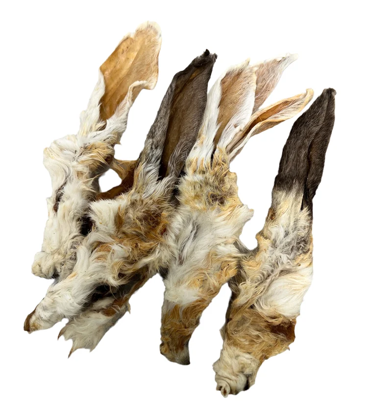 Oreille de Lapin