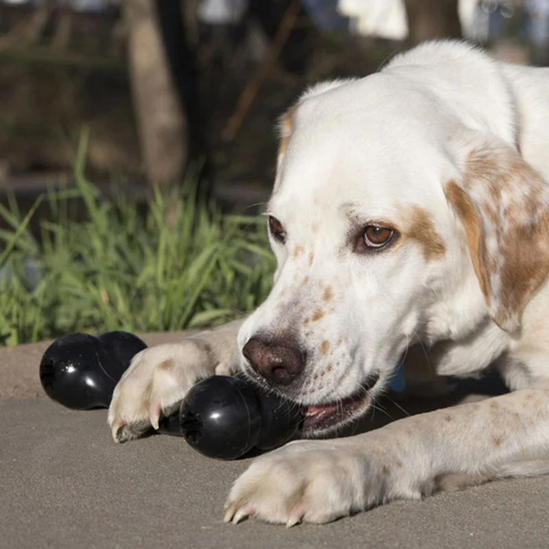 KONG os extreme Goodie Bone