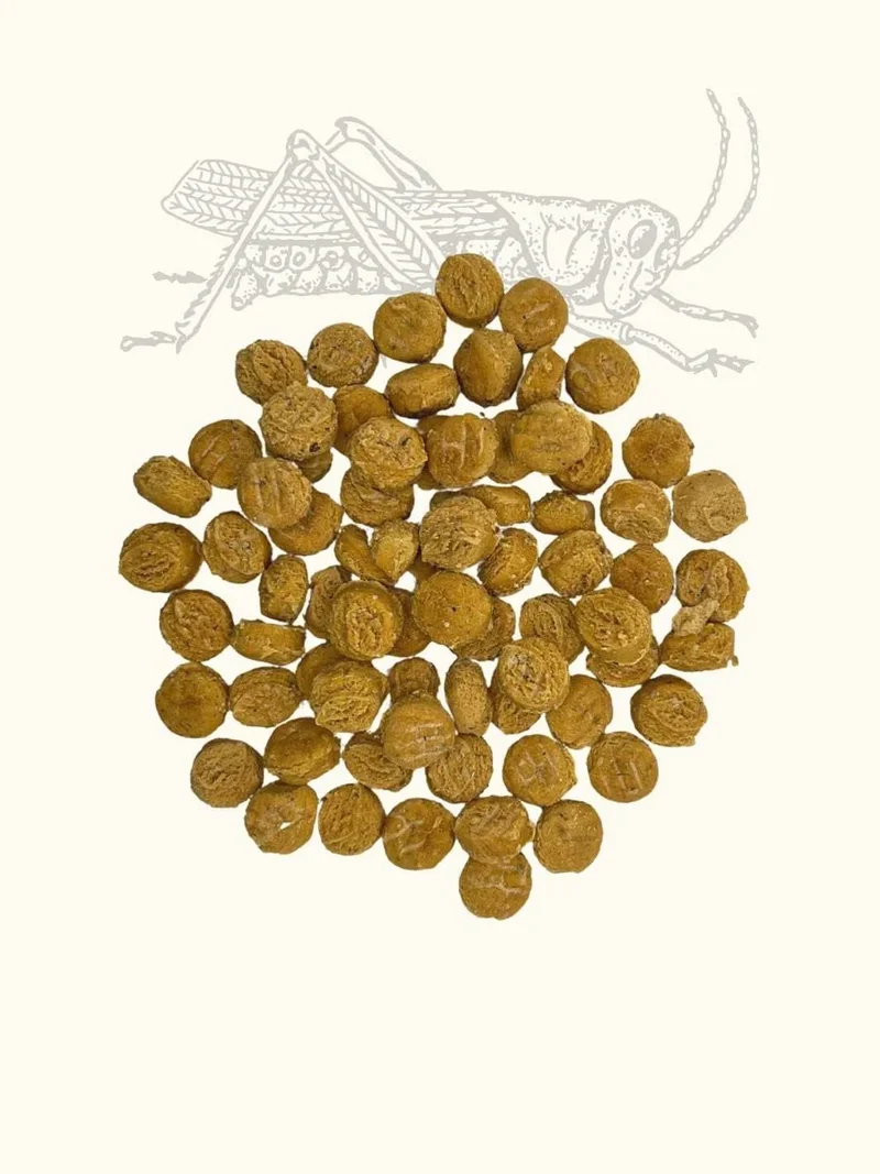 Friandises criquet