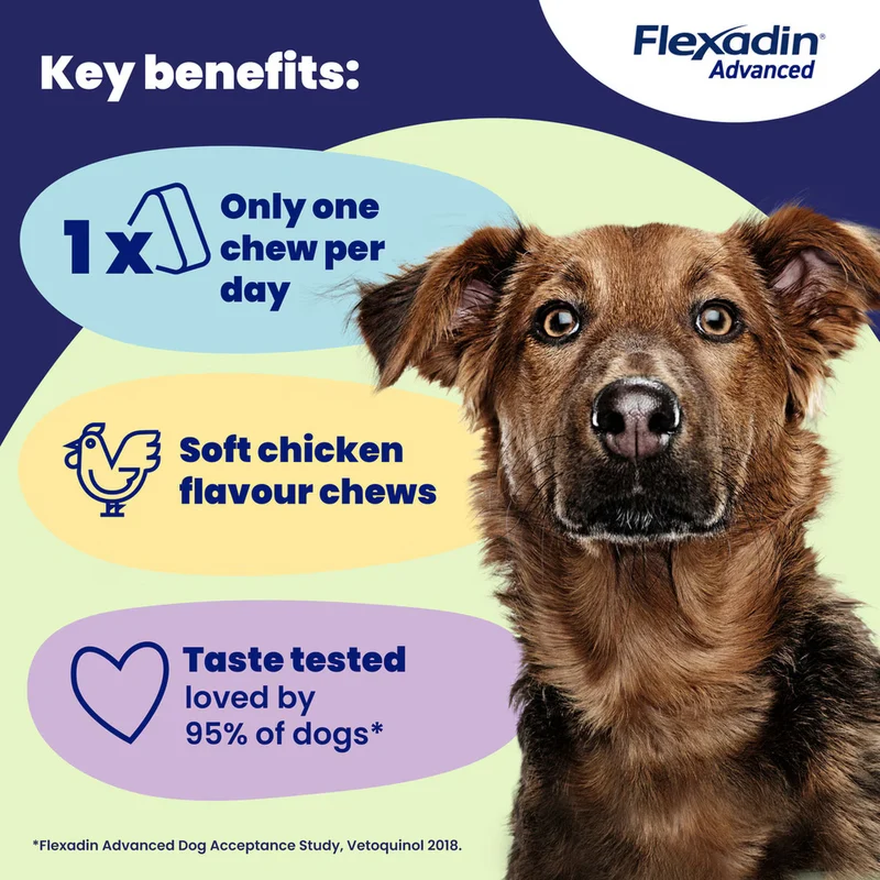 Vetoquinol Flexadin Advanced Joints Soft Chews Supplement For Dogs 30pcs