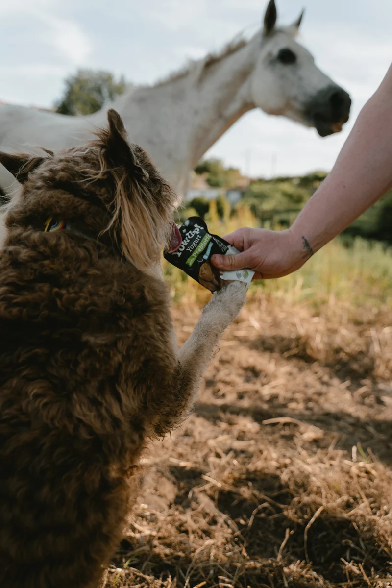 YowUp Yogurt With Prebiotics Natural Dog Wet Food Topper 115g