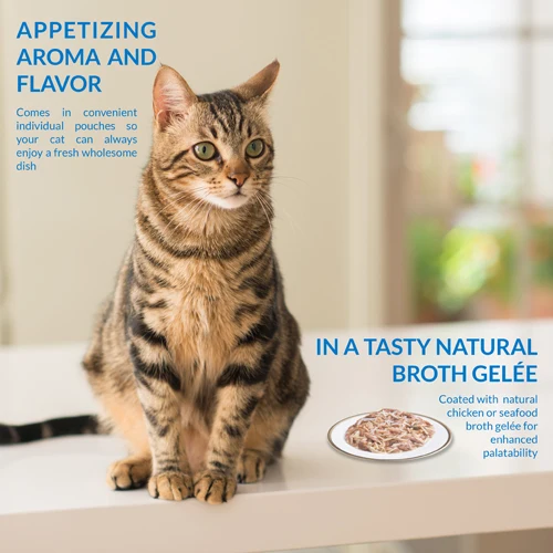 Inaba Twin Pack Chicken Recipe In Chicken Broth Wet Cat Food 2x40G