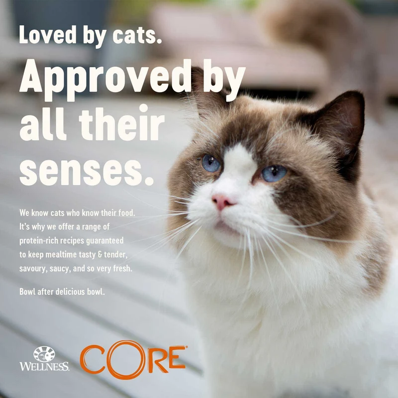 Wellness Core Signature Selects Shredded Boneless Chicken Entree With Turkey In Sauce Adult Wet Cat Food 79G