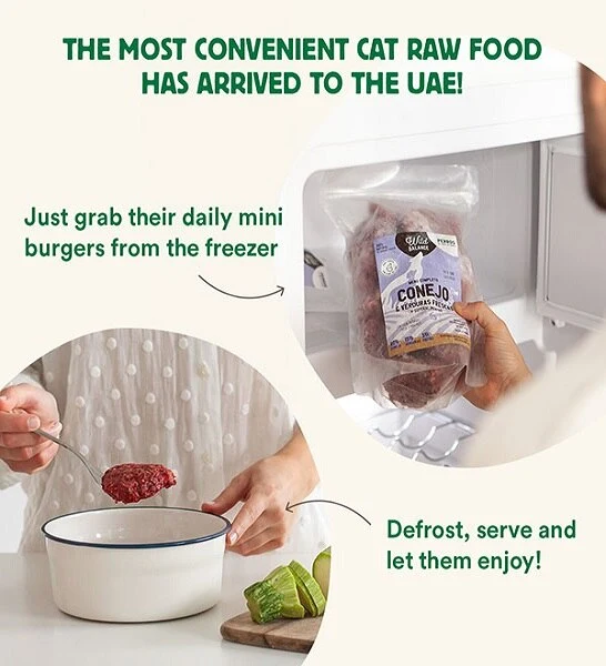 Wild Balance Complete BARF Menu Salmon Raw Food for Cats 1KG