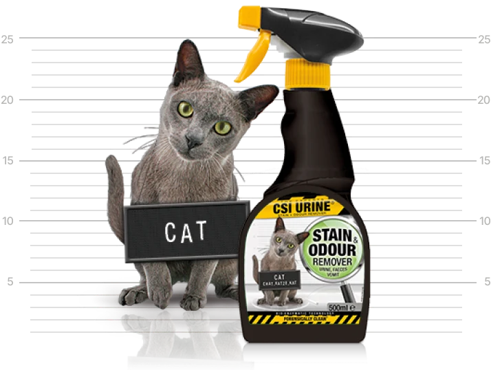 CSI Urine Stain & Odour Remover for Cats 500ml