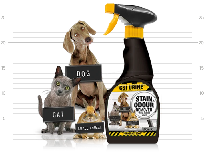 CSI Urine Multipet Stain & Odour Remover 500ml