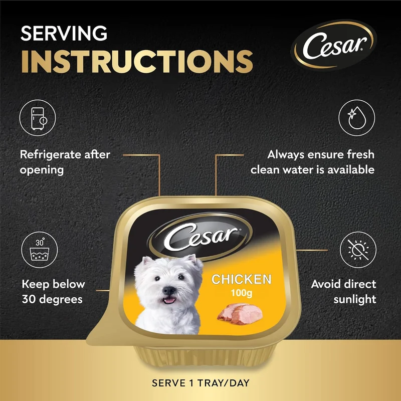Cesar Chicken Wet Dog Food 100G