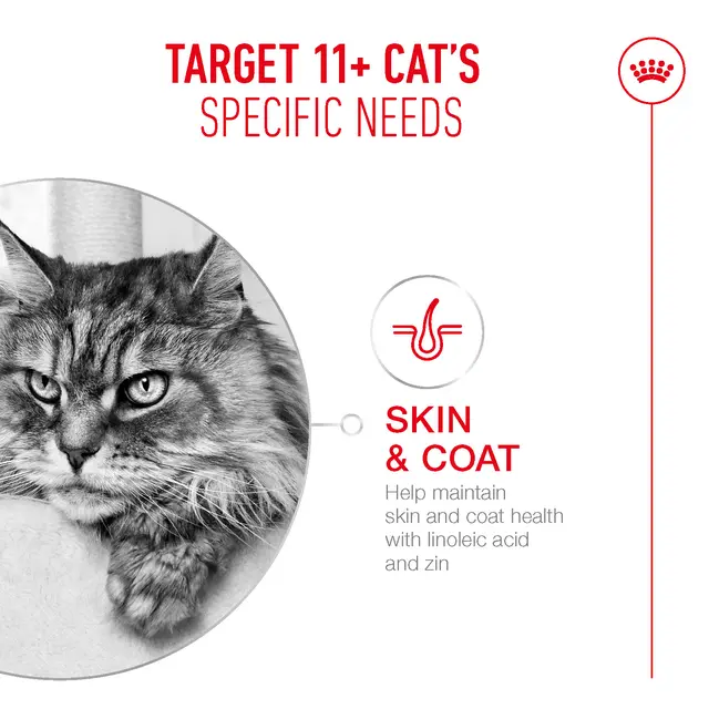 Royal Canin Ageing 11+ Chunks in Gravy Wet Cat Food - 85G