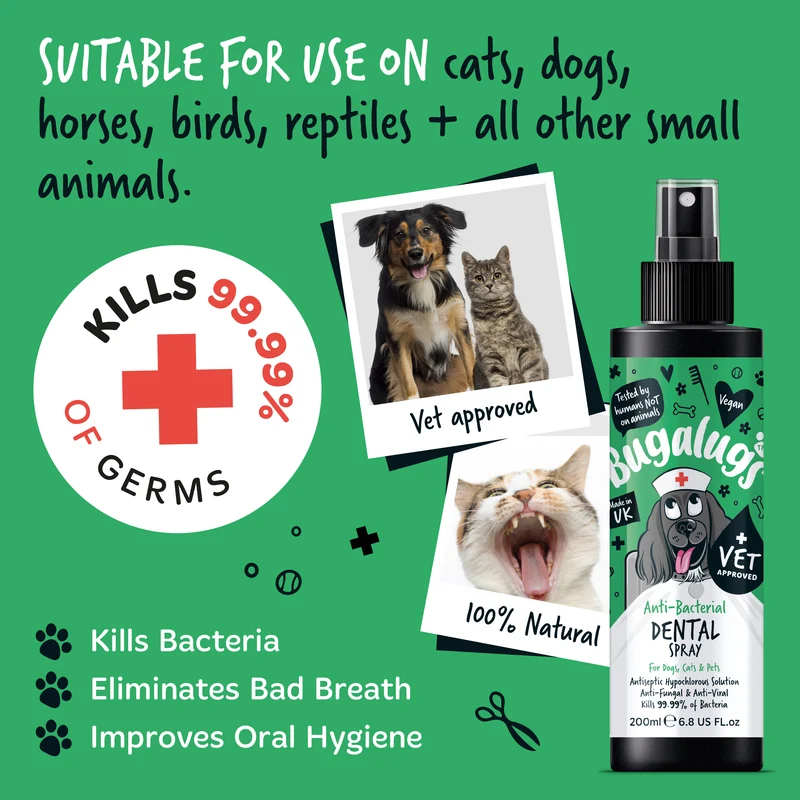 Bugalugs Antibacterial Dental Spray for Pets 200ML