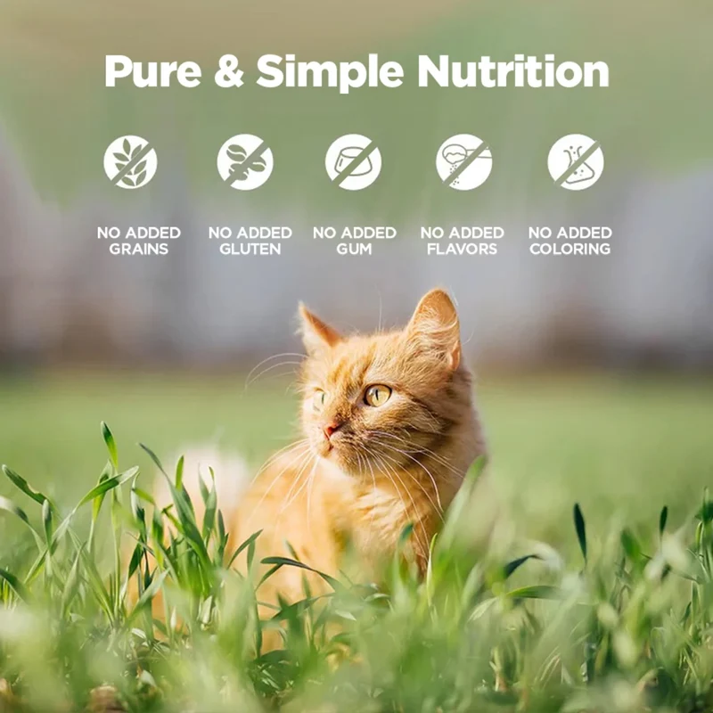 Zeal Grain Free Lamb Recipe Wet Cat Food 90G