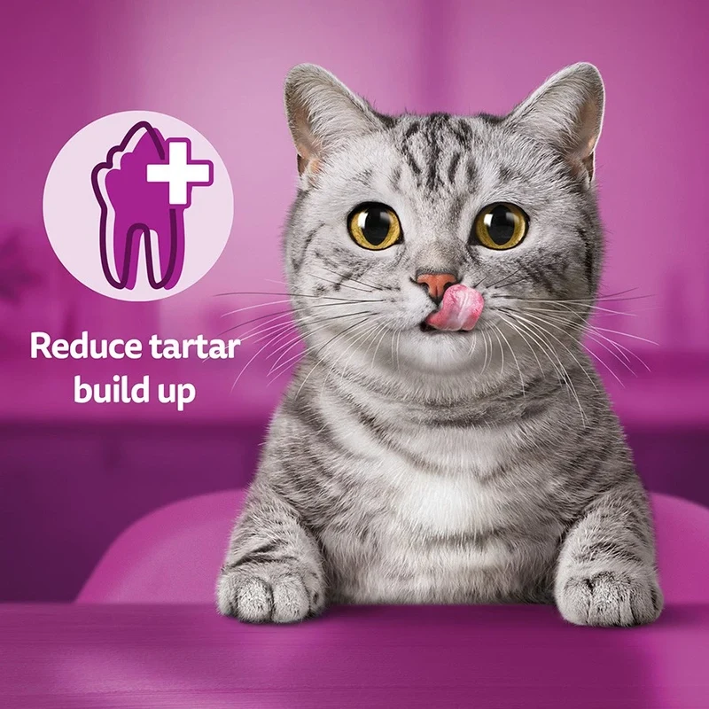Whiskas DentaBites with Chicken Cat Treats