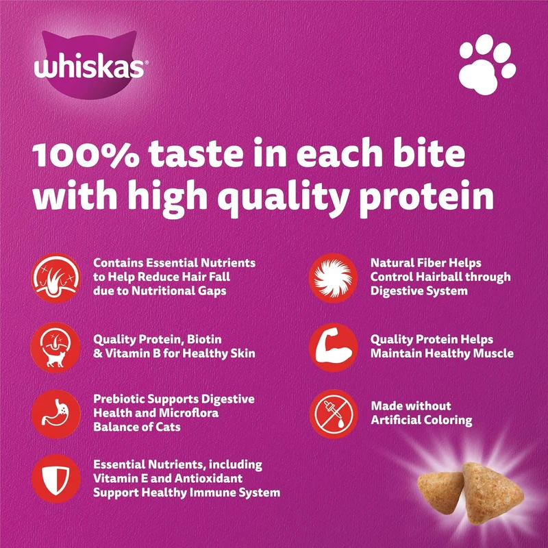 Whiskas 1+ Years Skin & Coat Chicken & Salmon Adult Dry Cat Food 1.1KG