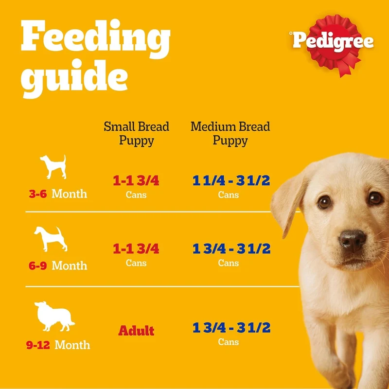Pedigree Puppy Wet Dog Food 400G