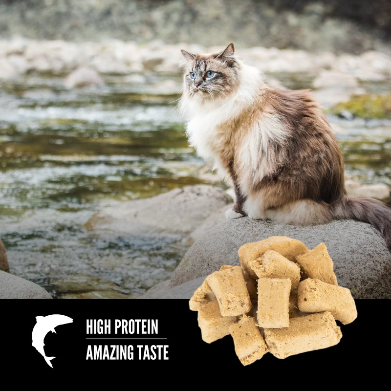 Orijen Six Fish Freeze Dried Cat Treats 35g