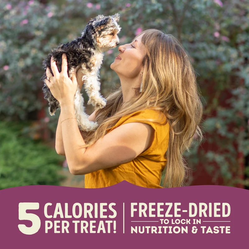 Acana Lamb & Apple Freeze-Dried Dog Treats