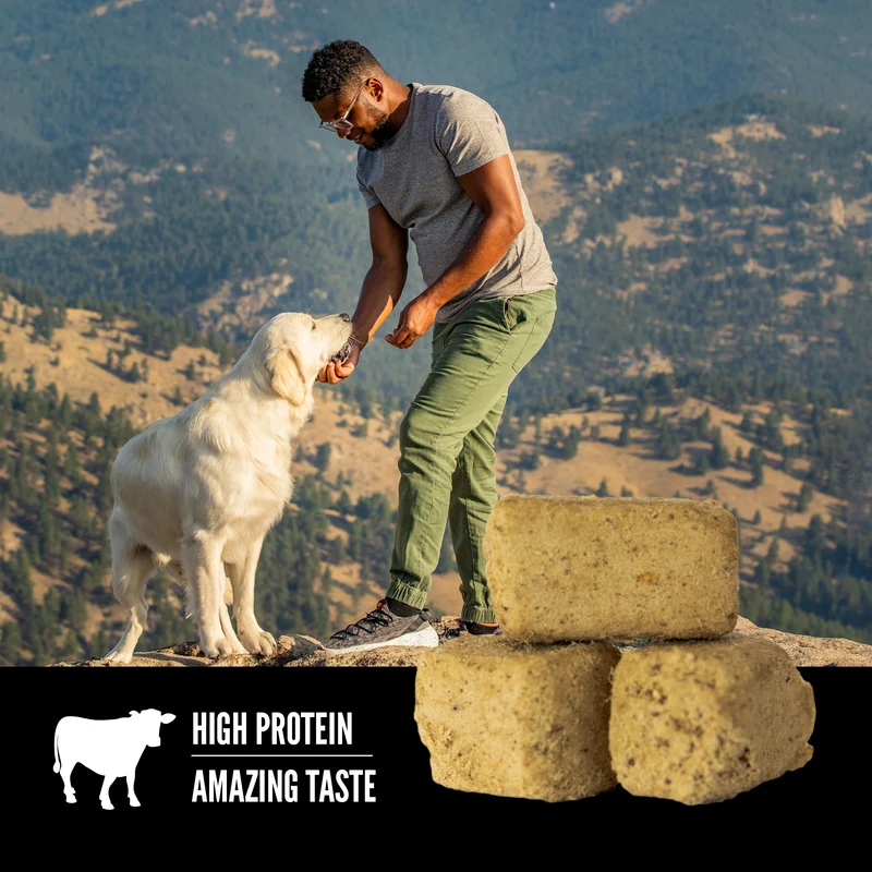 Orijen Beef Recipe Freeze Dried Dog Treats 92g