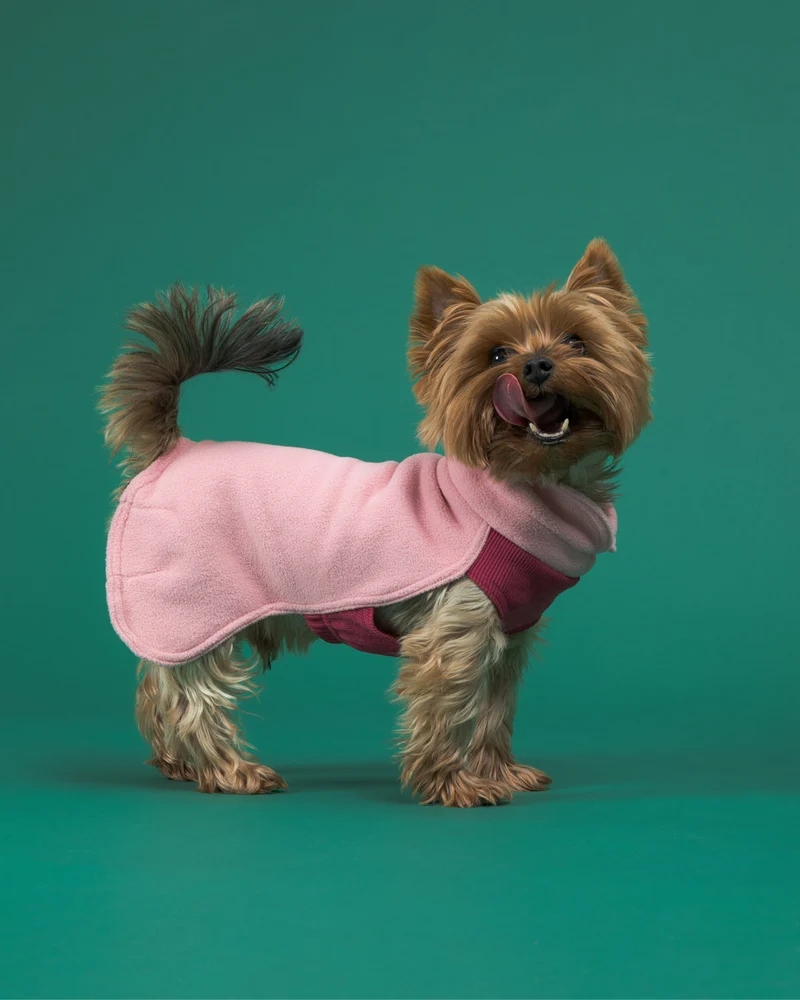 PAIKKA Seawool Eco-friendly Dog Shirt