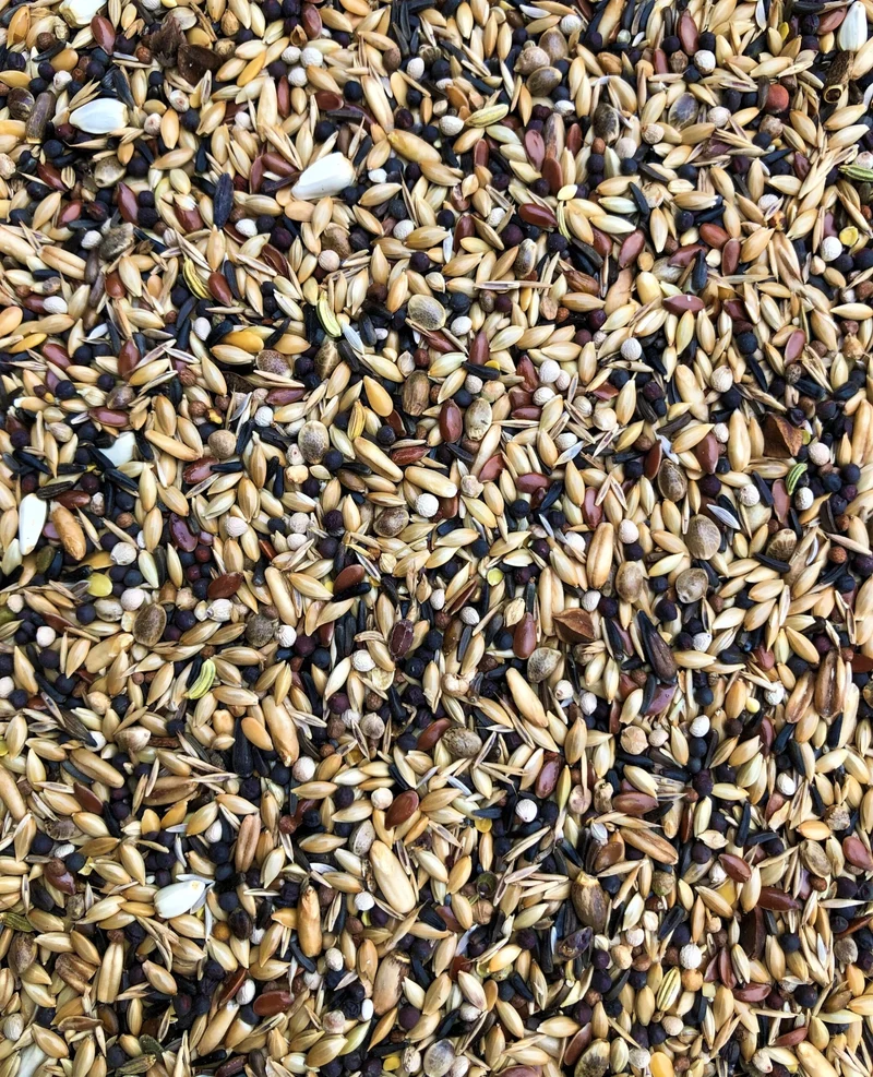 Farma Wild Bird Special Mix Bird Food 1Kg