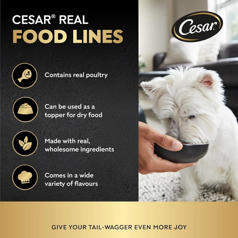 Cesar Chicken and Vegetables Wet Dog Food 100G