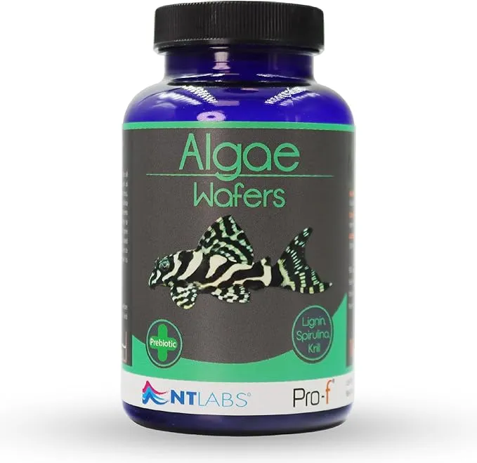 NT Labs Algae Wafers Fish Food