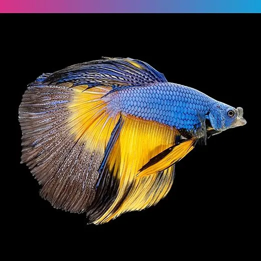 NT Labs Pro-f Nano Tropical Fish Food 45G