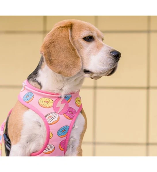 Dashi Donut Neo Mesh Adjustable & Reversible Harness For Dogs