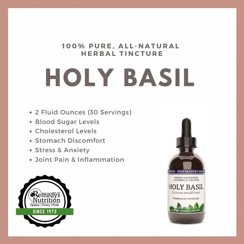 Teinture de basilic sacré 2 onces liquides