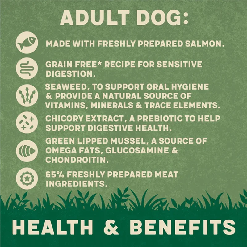 Harringtons Salmon Wet Dog Food 400G