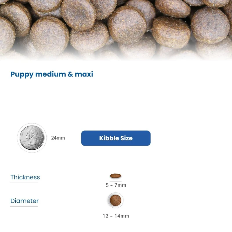 Farmina N&D Lamb, Pumpkin & Blueberry Grain-Free Adult Medium & Maxi Dry Dog Food 12KG