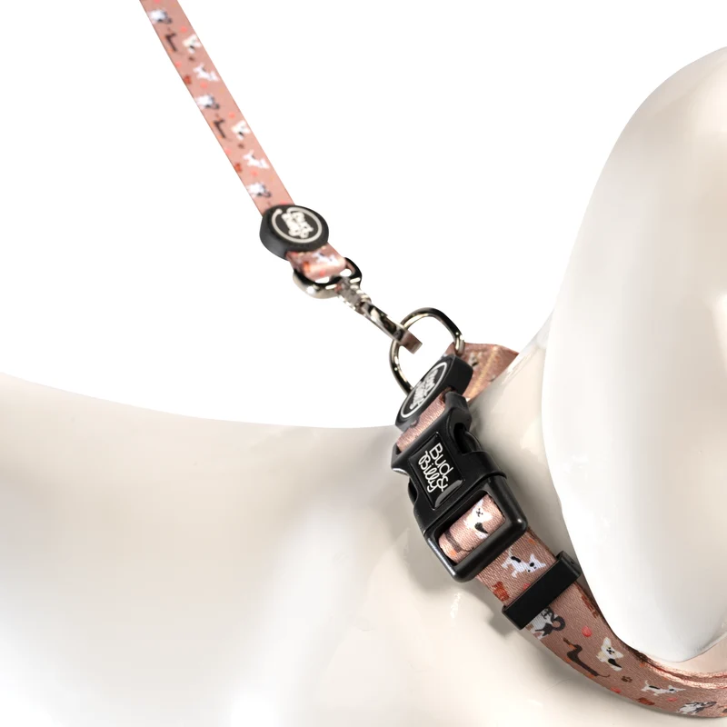 Bud & Billy Dog Park Pals Dog Collar
