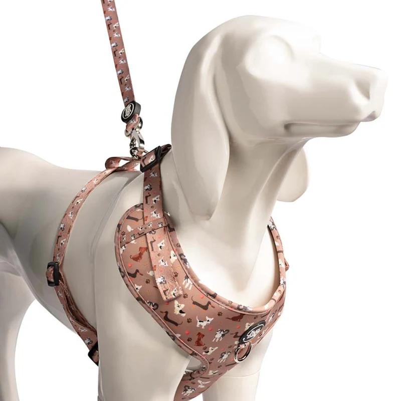 Bud & Billy Dog Park Pals Dog Vest Harness
