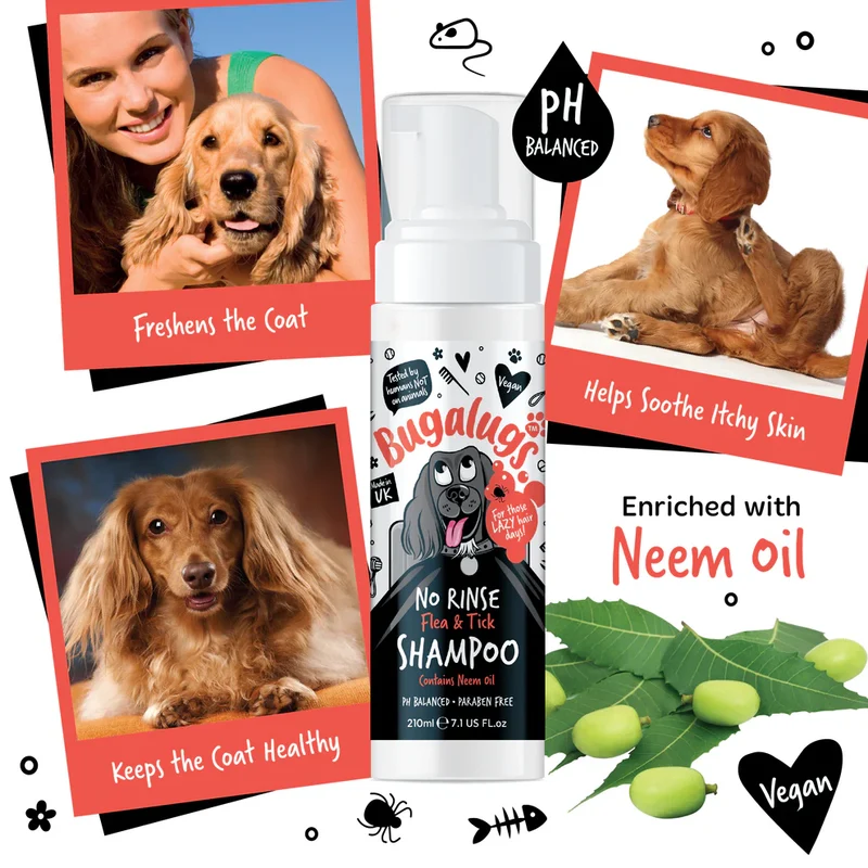 Bugalugs No Rinse Flea & Tick Shampoo For Dogs 200ml