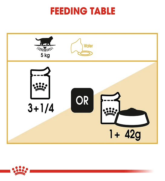 Royal Canin British Shorthair Adult Wet Cat Food
