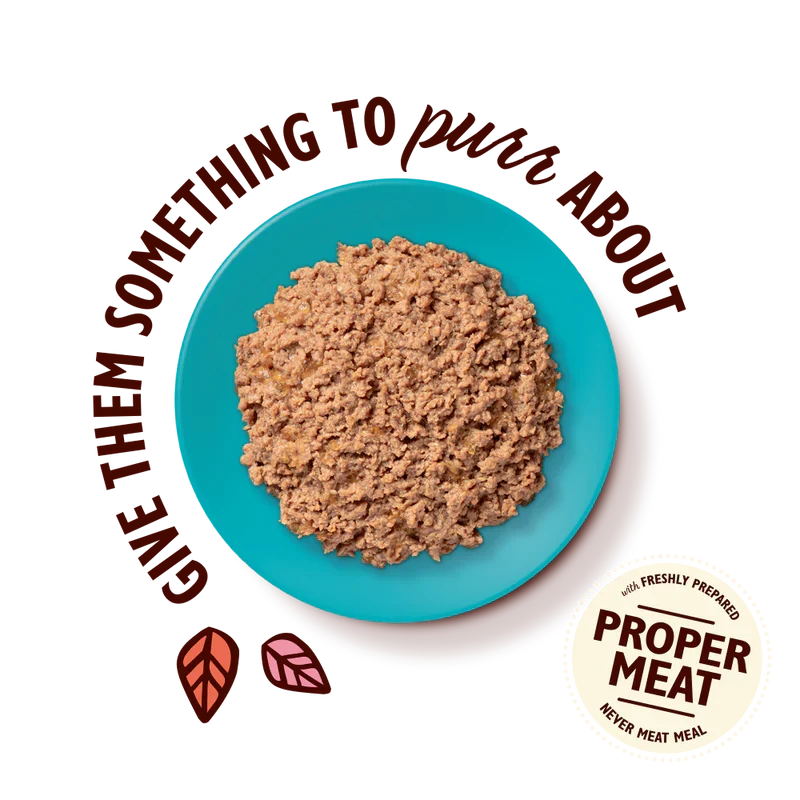 Lily’s Kitchen Smooth Pate Chicken with Tuna Wet Cat Food 85G