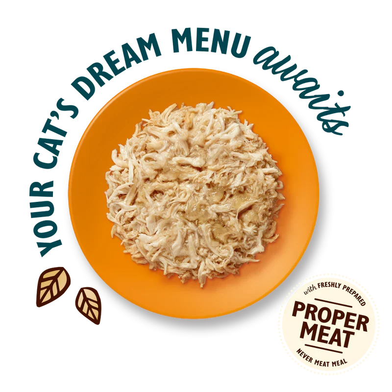 Lily's Kitchen Shredded Fillets In Jelly Chicken Wet Cat Food 70G