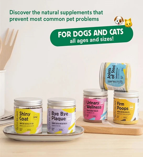 Wild Balance Shiny Coat Supplement for Dogs & Cats 100g
