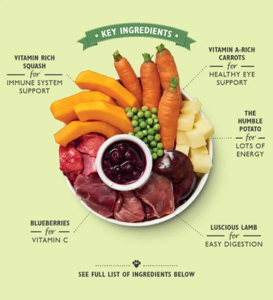 Lily's Kitchen Lamb Hotpot Wet Dog Food 400G - Pack of 12