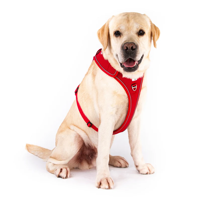 Curli Belka Large Dog Vest Harness - Adjustable Neck