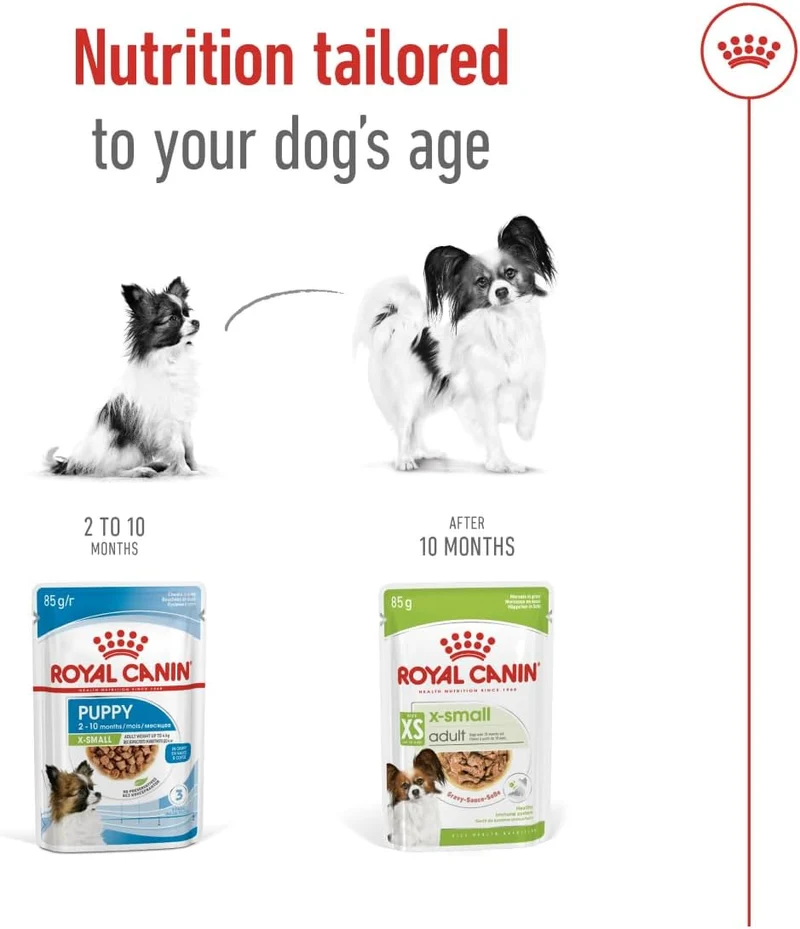 Royal Canin Mini Adult XS Adult Wet Dog Food In Gravy 85G