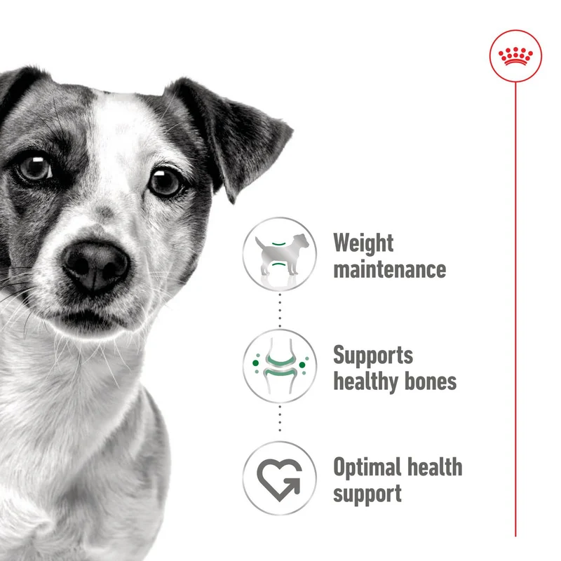 Royal Canin Mini Adult In Loaf Wet Dog Food In Can 195G