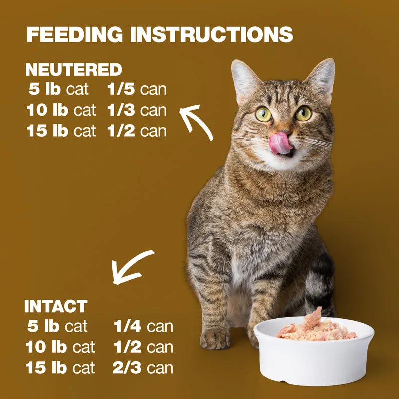Natural Code 2 Creamy Tuna & Lobster Veloutè Wet Cat Food 85G