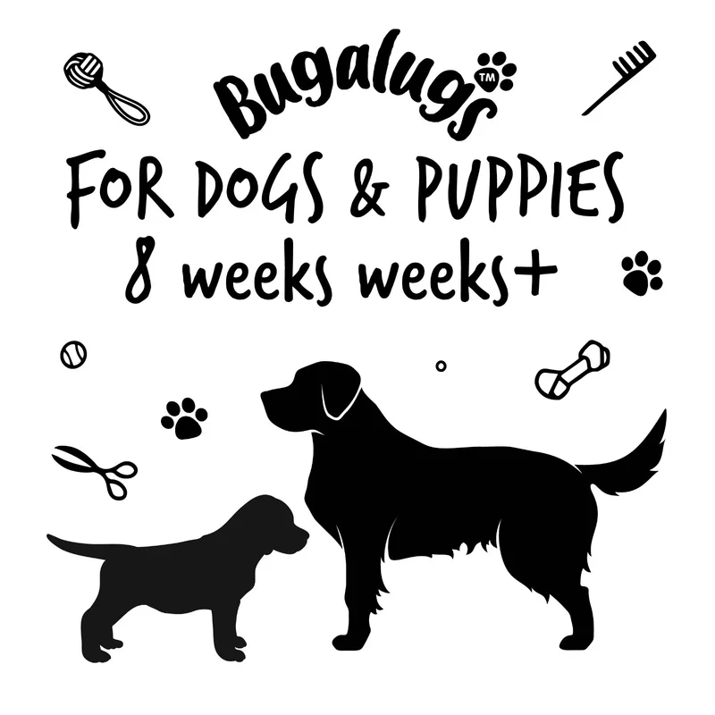 Bugalugs Baby Fresh Dog Shampoo 5L